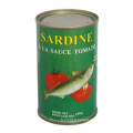 Meilleures ventes 155 g de sardine en conserve à la sauce tomate